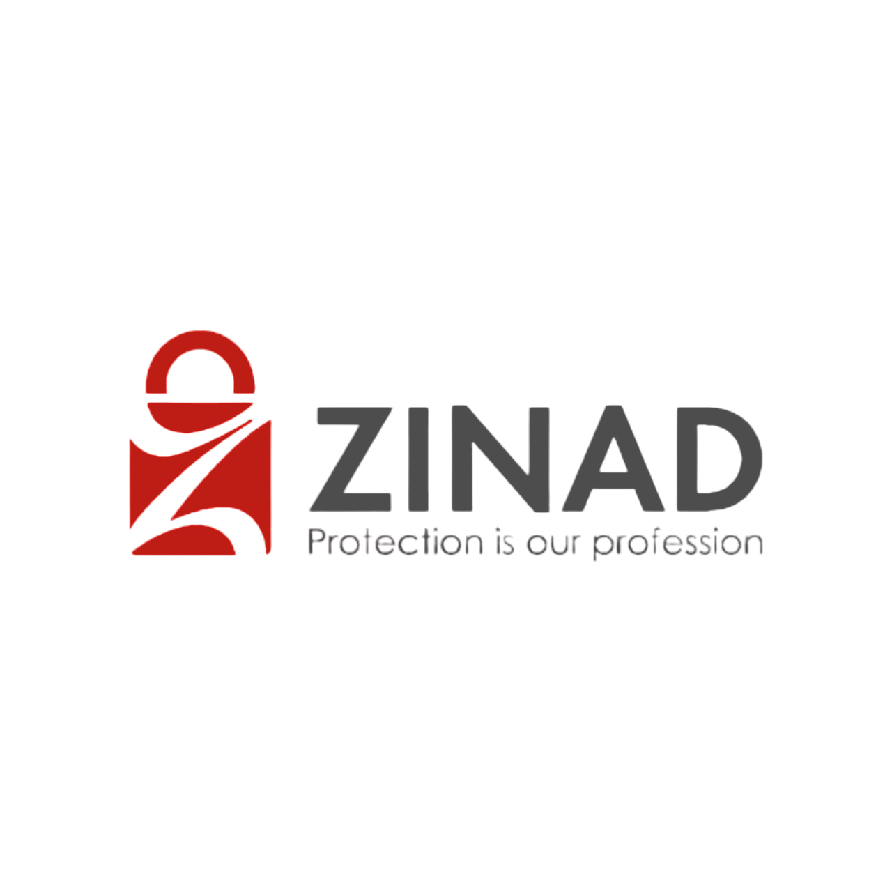 ZINAD IT